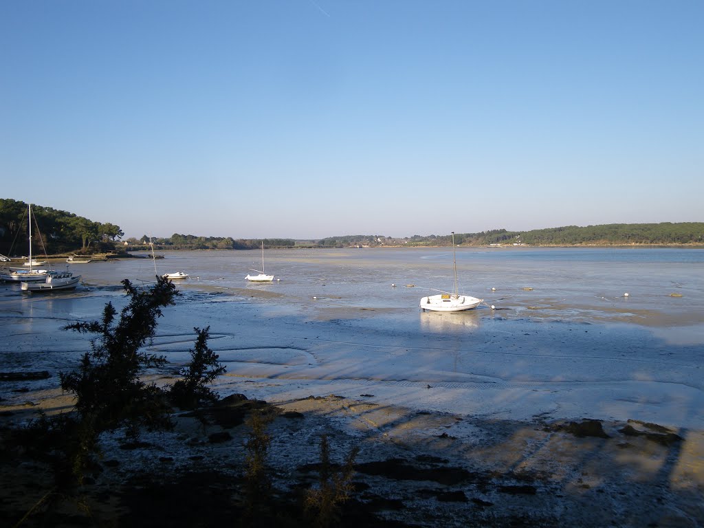 Vue depuis la pointe du blaire a baden by chisloup