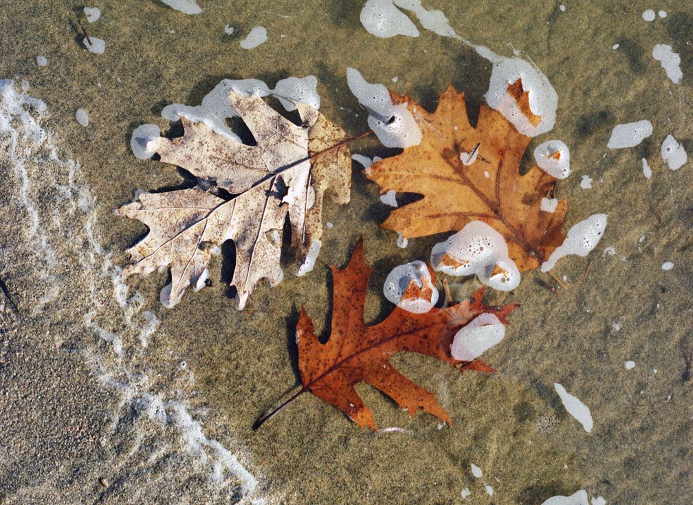 Oka Beach, Oka, Quebec by MurrayH