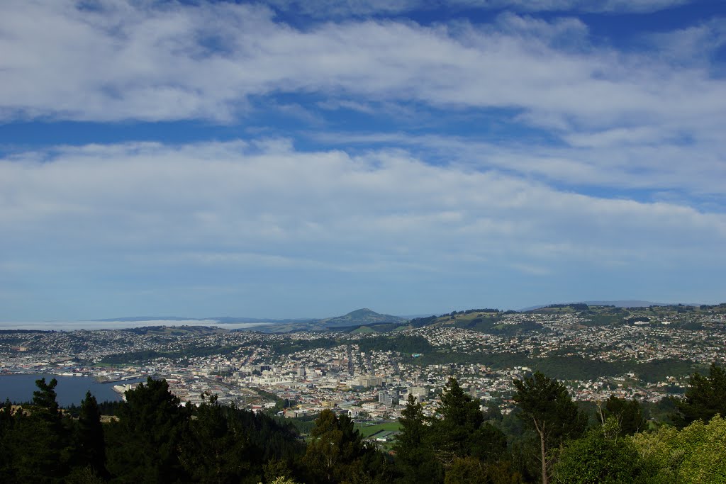 Dunedin by powermeerkat