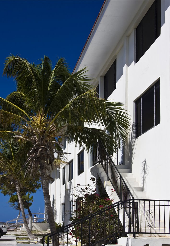 White building and palm tree by Phil Comeau