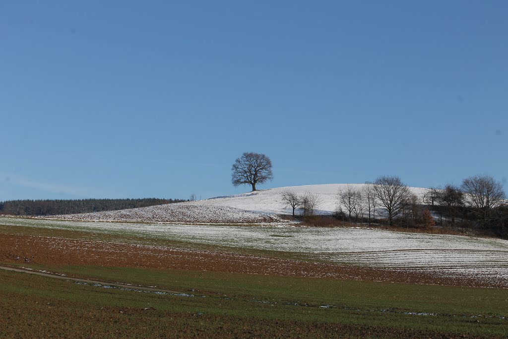 Winter & Frühling by Gaerda