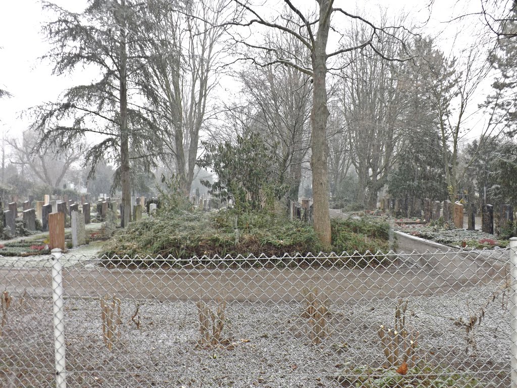 Friedhof Mannheim Neckarau by co-koe