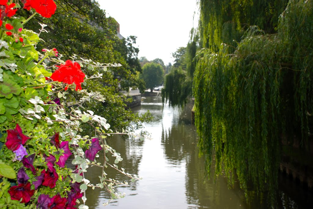 GUILDFORD, UK by Trude Rini Forde