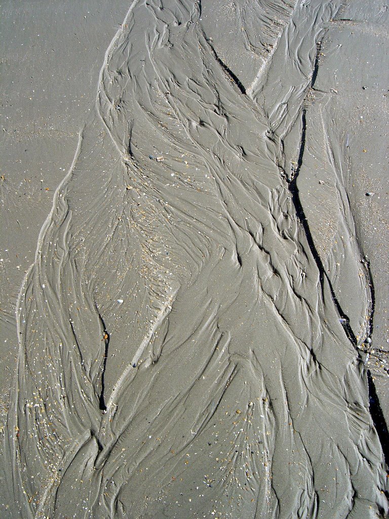 Sculpture of nature in the sand by Lecleire Jacques