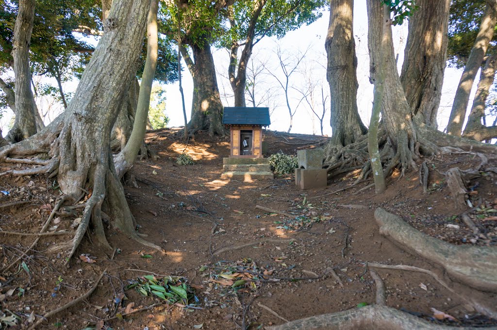 大六天神社 (浦部古墳) -Dairokuten Shrine- (Urabe Ancient Tomb) by Saruman8000