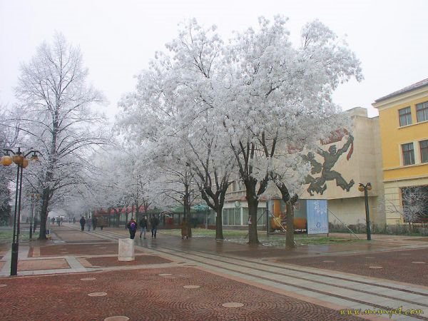 Main Street, Hotel Yanitsa, Nova Zagora, Bulgaria by © mimipet.com