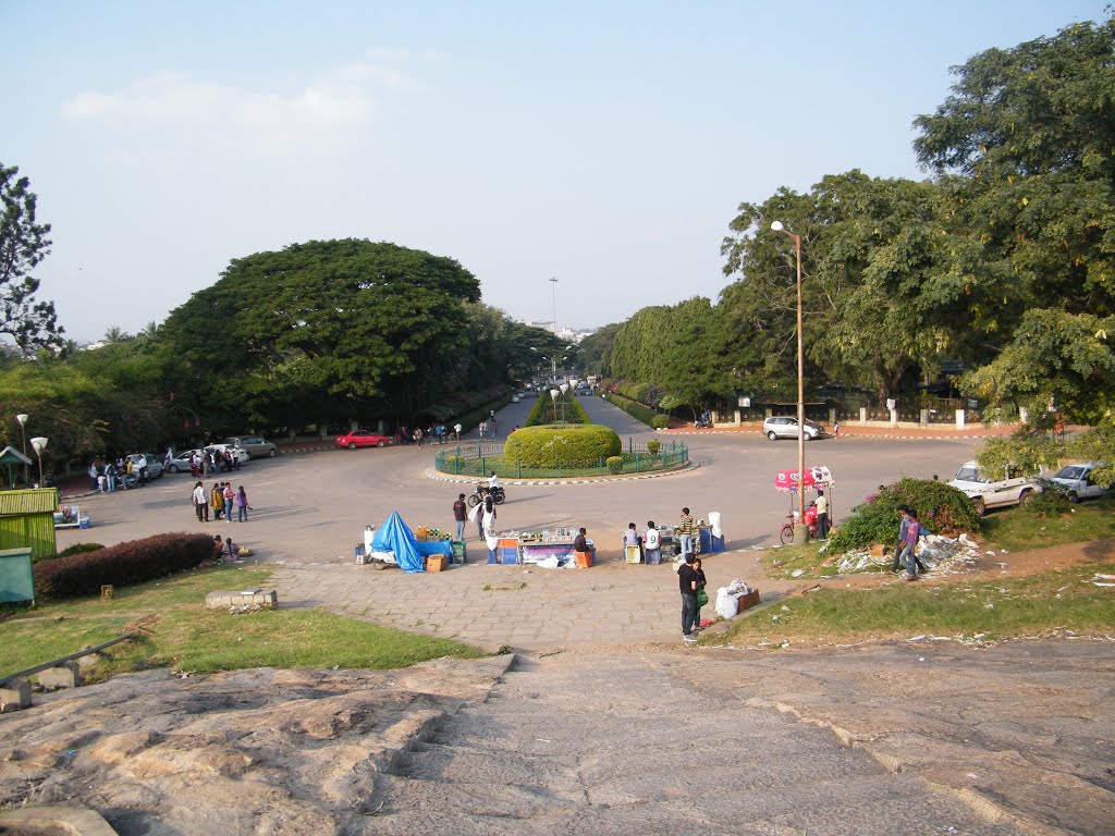 Lalbagh botanical garden by sabukeralam & travelviews.in by travelviews