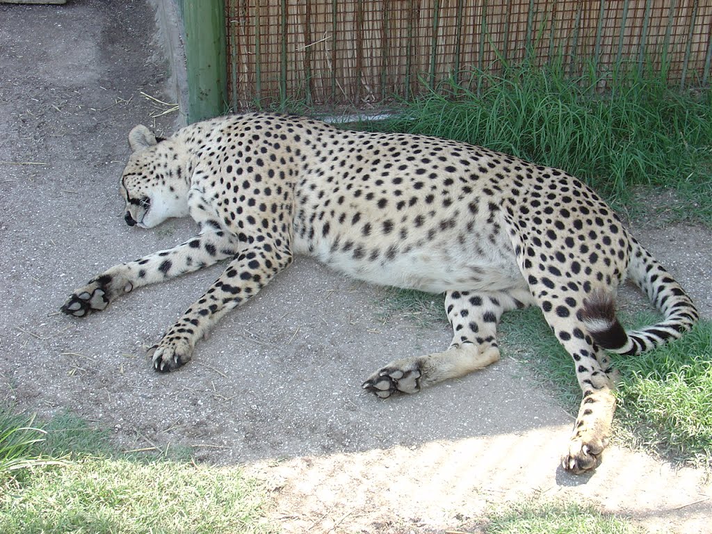 General Rodriguez - B.Aires - Zoo - ecm by eliseo c. martínez