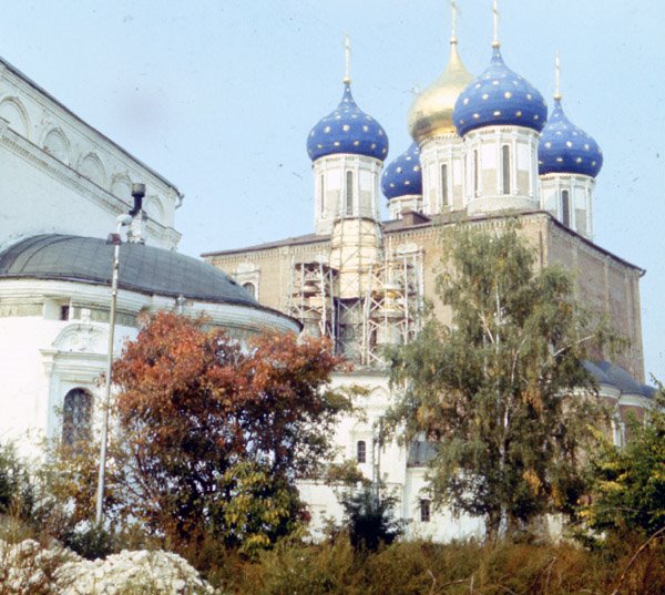 Bulbous domes by Sarychev Sergei