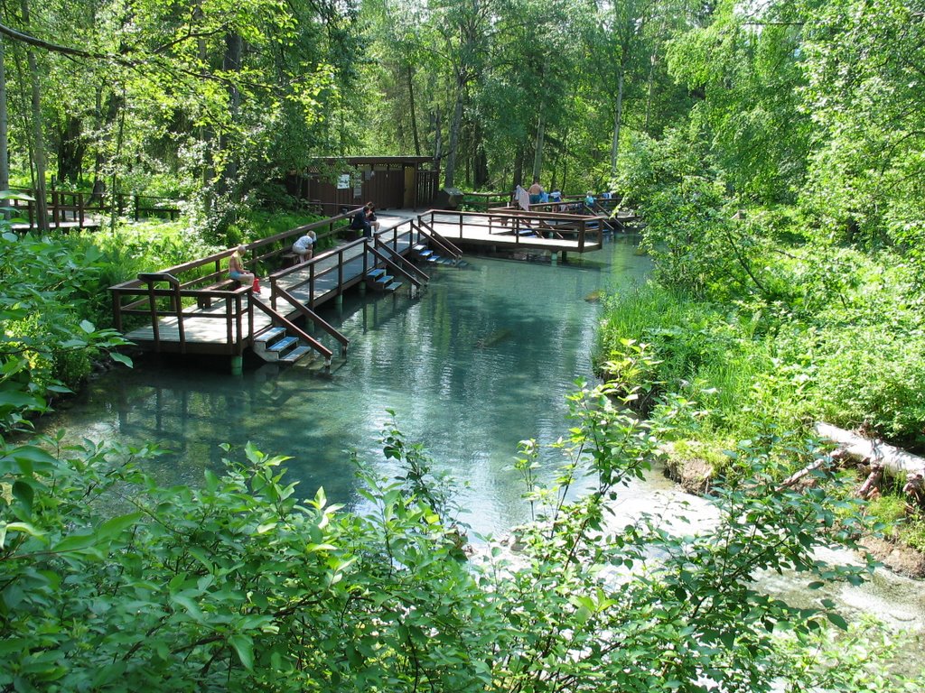 Liard Hot Springs by Stephen Temple