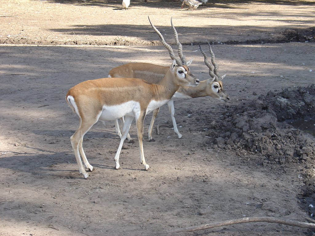 General Rodriguez - B.Aires - Zoo - ecm by eliseo c. martínez