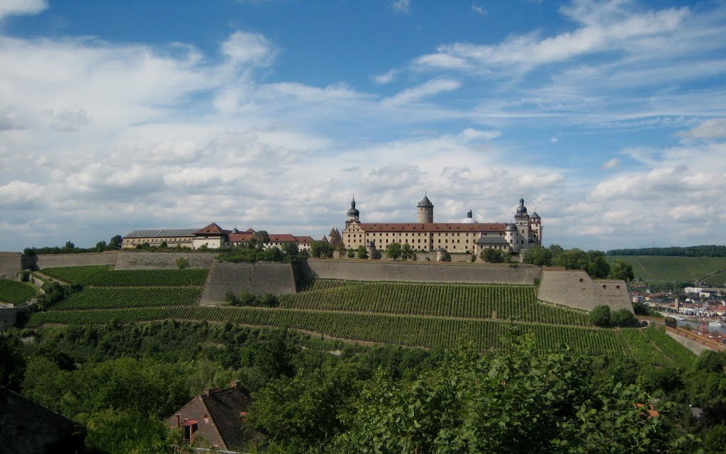 Castle in the vineyards by Marco Credaro