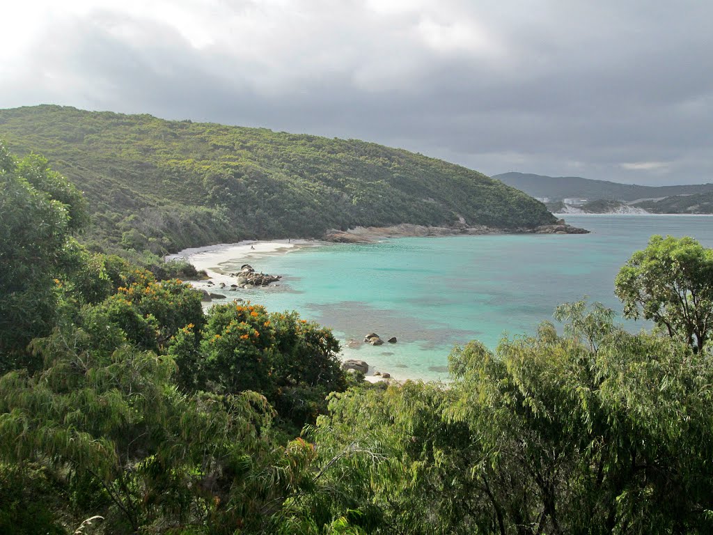 Vancouver Peninsula : Whaling Cove by Peter Connolly