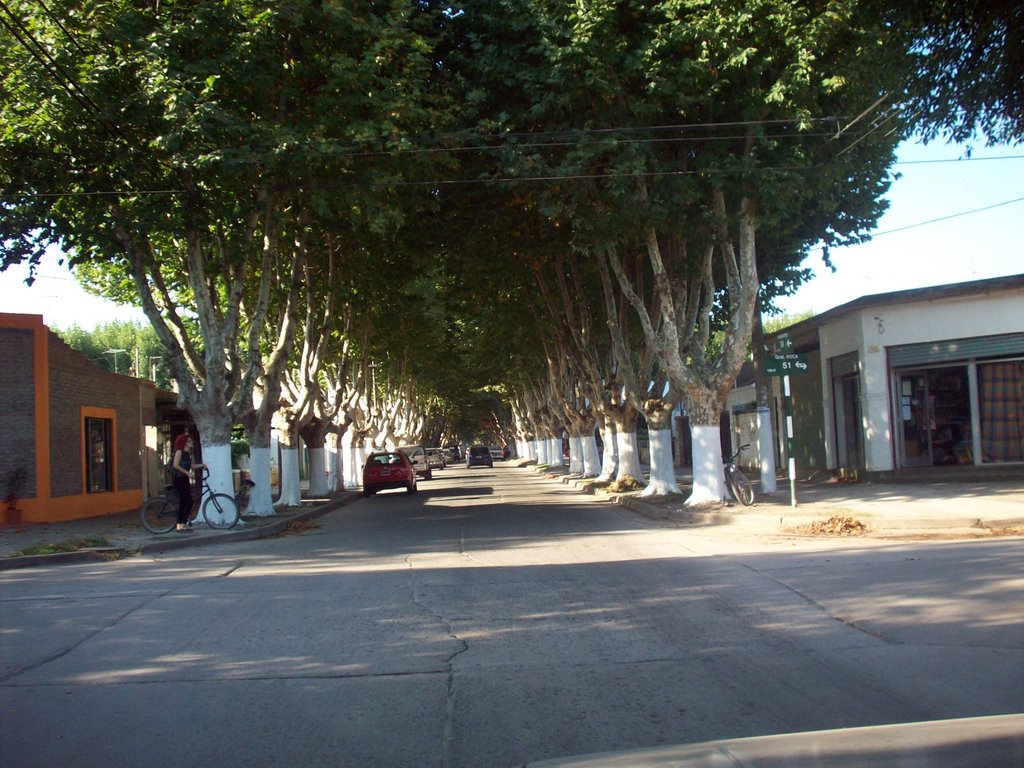 Llegando al centro por calle 38 by Raúl Adrián Barrios