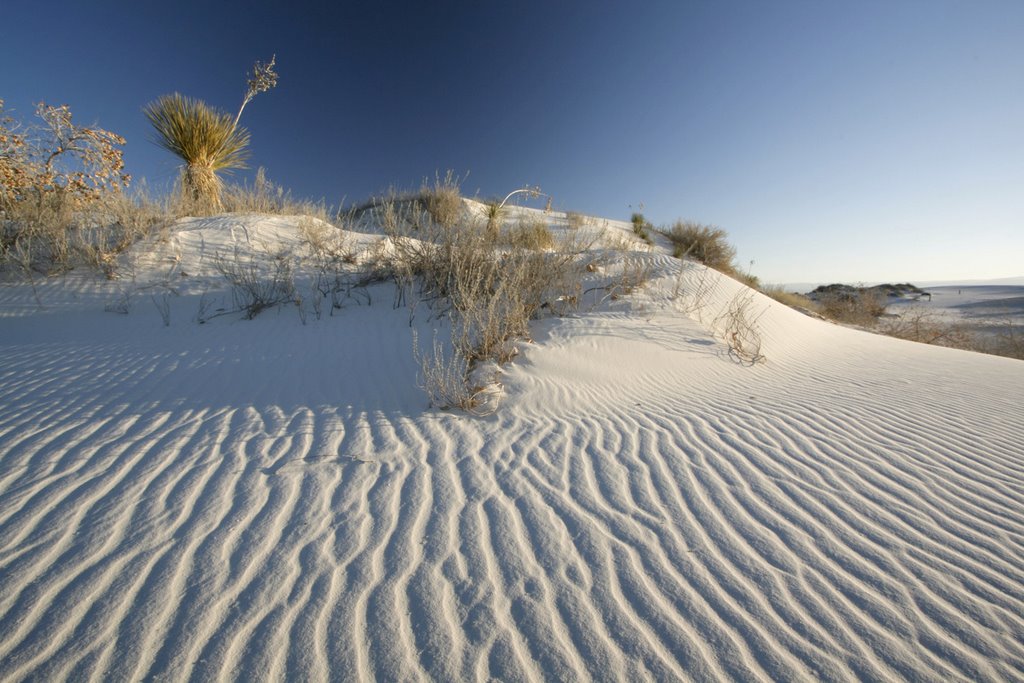 Early Light at White Sands National Monument by walkaboutwest