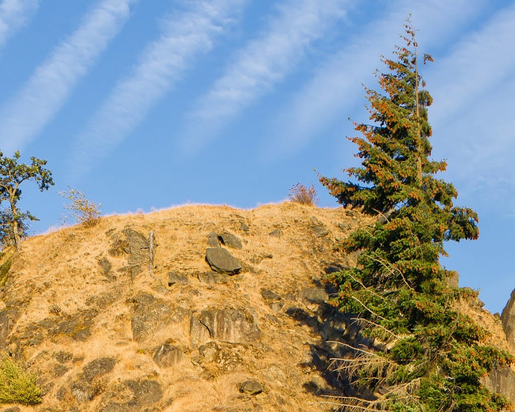 Looking towards Columbia River - Government Cove - Cascade Locks - .jpg - nwicon.com by NWicon.com