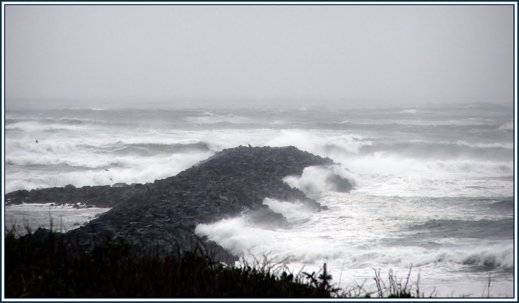 Dec 3 '07 Pacific Storm - South Jetty View from USCG Lookout (suz) by Suzi in Oregon