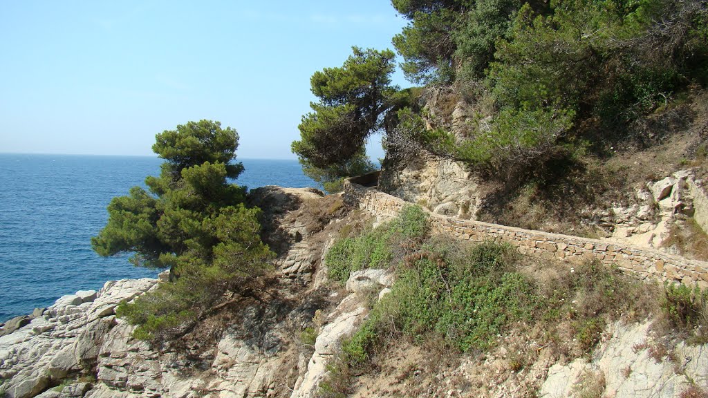 Cut in the rock trail by Yakov Grinberg