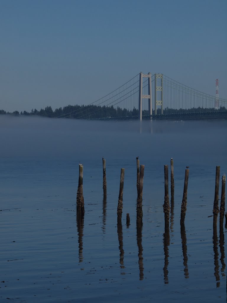 Titlow Bay by James W Moore