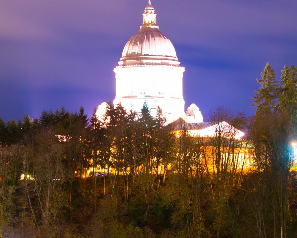 Looking towards Washington Capitol - Interior - - nwicon.com by NWicon.com