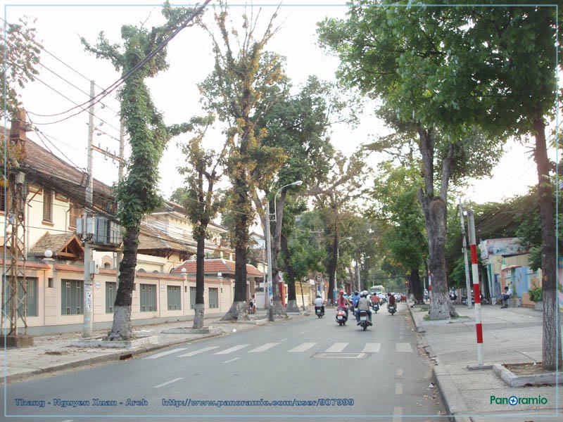 Đường - Nguyễn Đình Chiểu - Street by Vietnam - Paracels