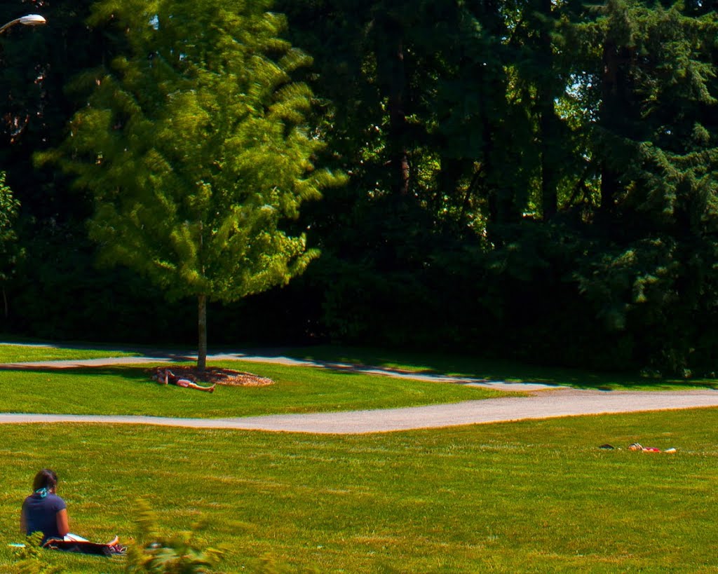 Looking towards UW - Sylvan Theater and Columns - nwicon.com by NWicon.com