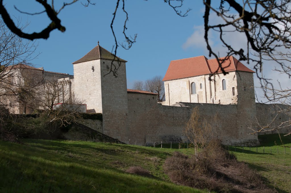 16 VILLEBOIS-LAVALETTE -vue sud-est du château by Joël Baijard