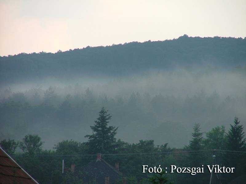 Párás erdő by lordfoto