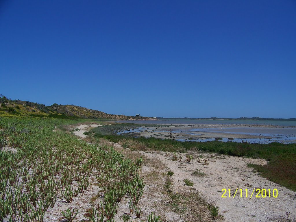 View along COORONG at Jack Point National Park area, on 21-11-2010 by Peter John Tate,