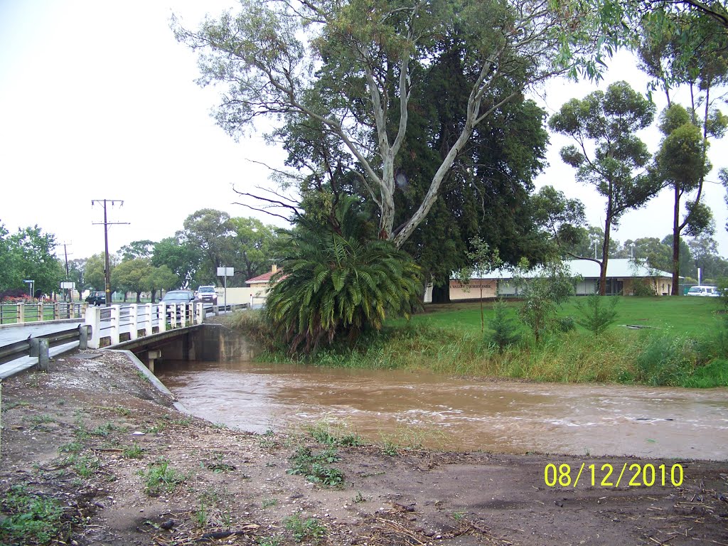 Water rising under the Penrice Road Bridge after heavy rain next to the Barossa Valley Caravan Tourist Park area in NURIOOTPA, on 8-10-2010 by Peter John Tate,