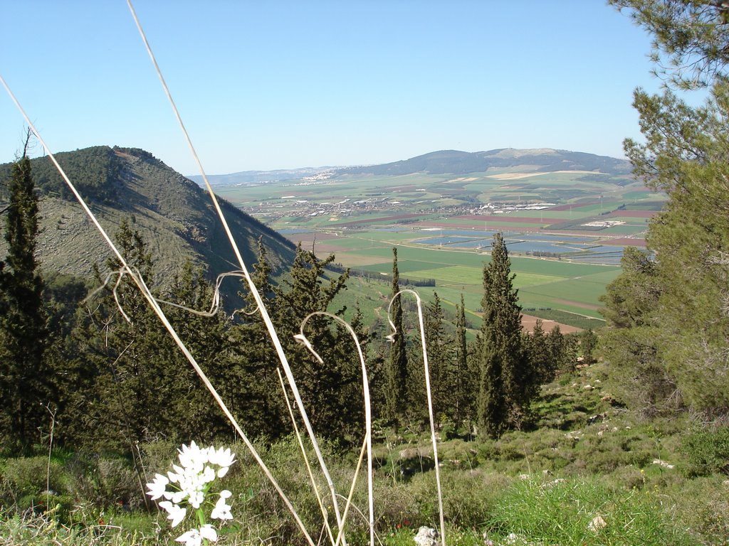 Gilboa Downhill View by Gregory Kremyansky