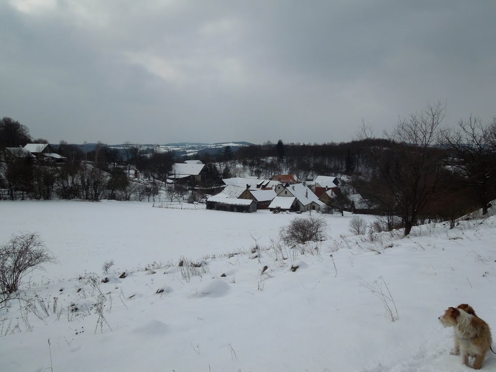 Křížovice - 21.2.2013 by Robin - psí turista