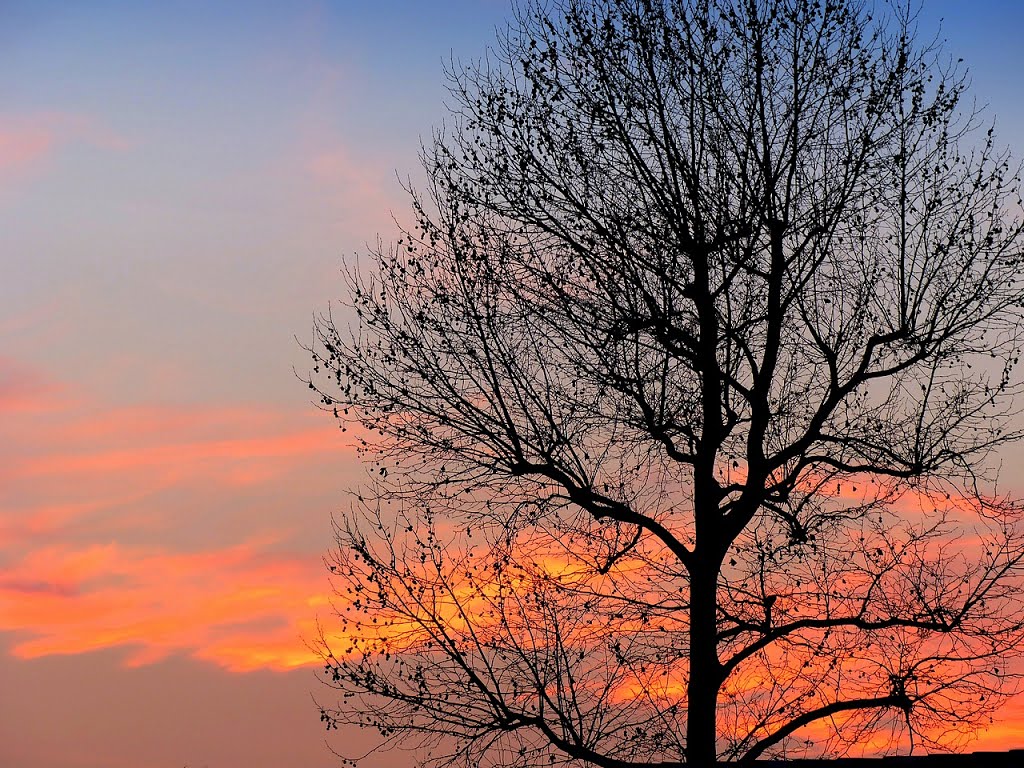 France, coucher du soleil en février sur Vinassan en Languedoc by Roger-11