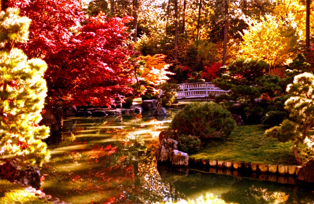 Japanese Garden by Bphoto