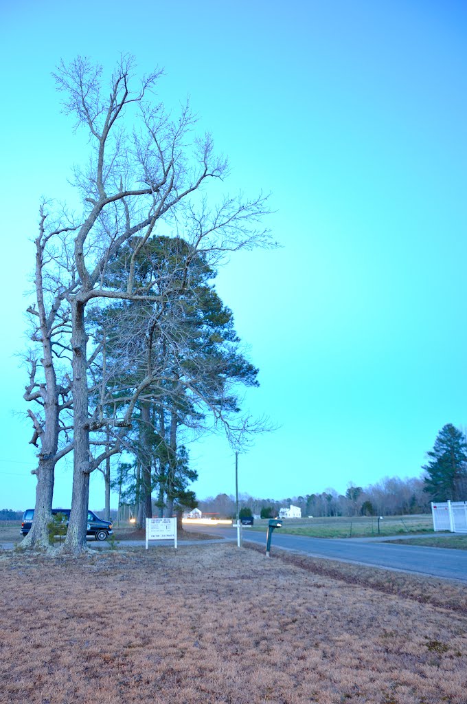 VIRGINIA: SURRY COUNTY: Ferguson Grove Baptist Church, 1876 Moonlight Road (S.R. 627) view up the road at dusk by Douglas W. Reynolds, Jr.