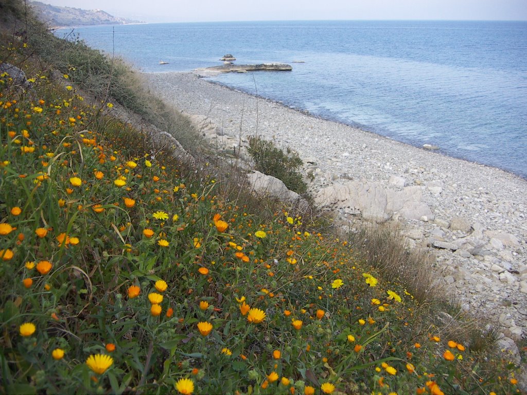 Spiaggia del castello by © Dino Converti