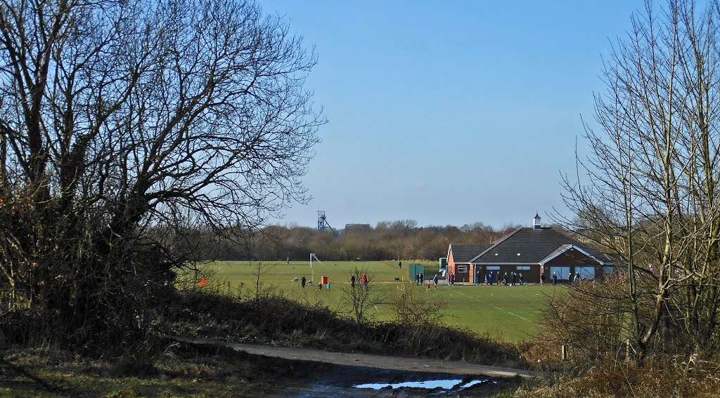 February morning at Boothstown by David Audcent