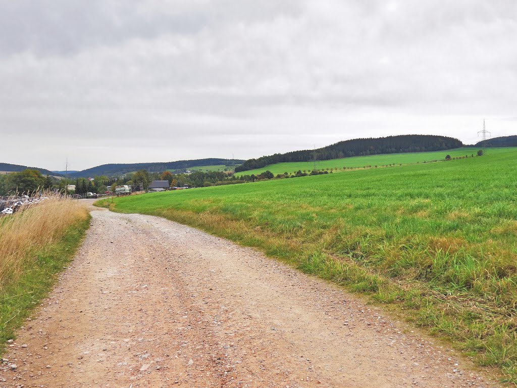 Weg nach Dorfchemnitz by Rudolf Henkel