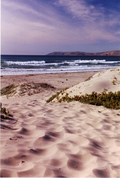 Morro_bay by david_rasmussen