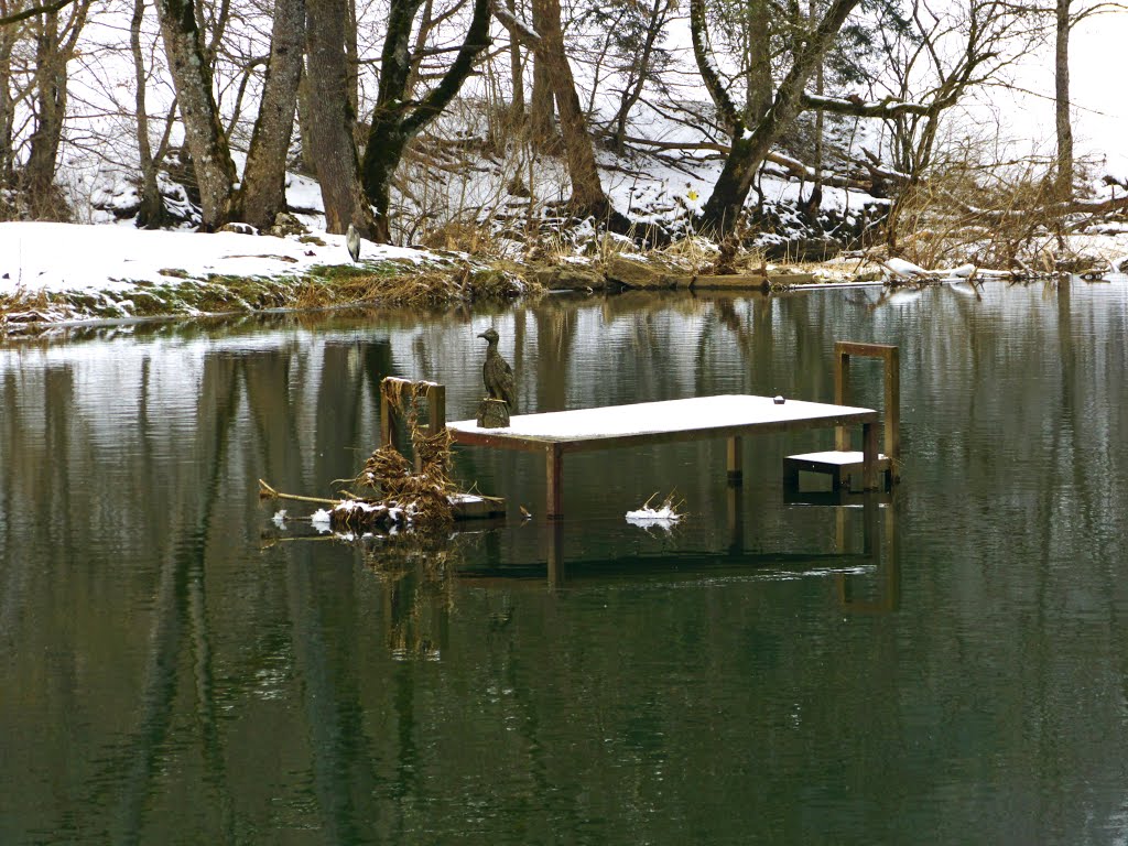 A Heron Behind Chair And Table by Dg-505