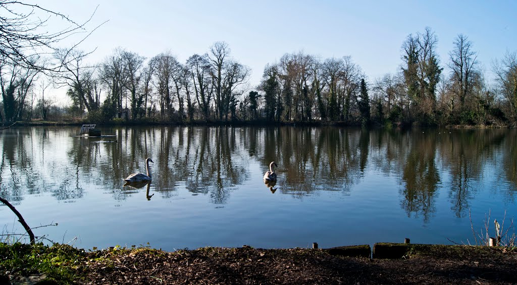 Little Britain Lake by Jolanta Gaj