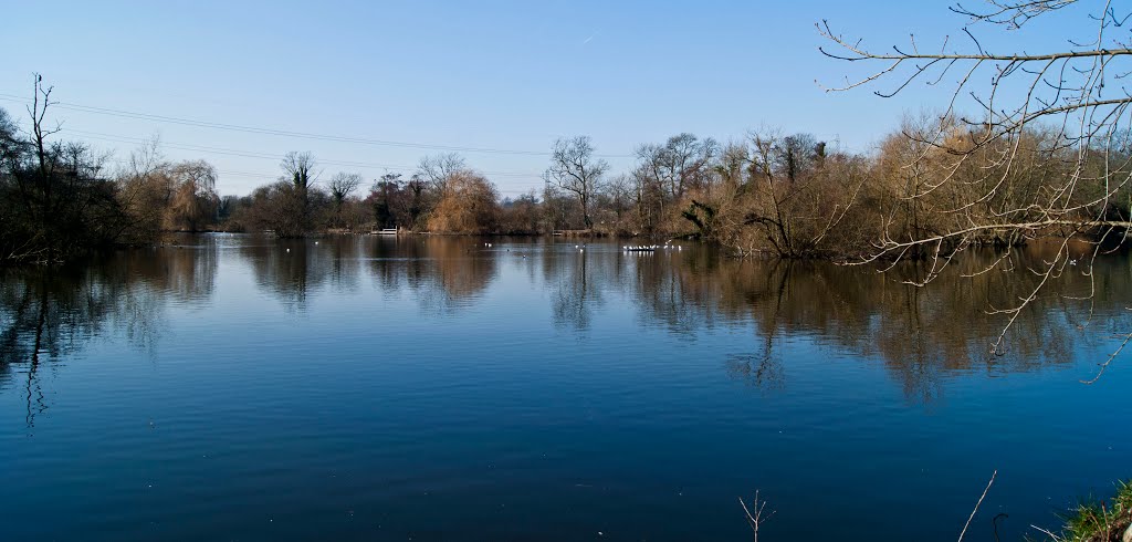 Little Britain Lake by Jolanta Gaj