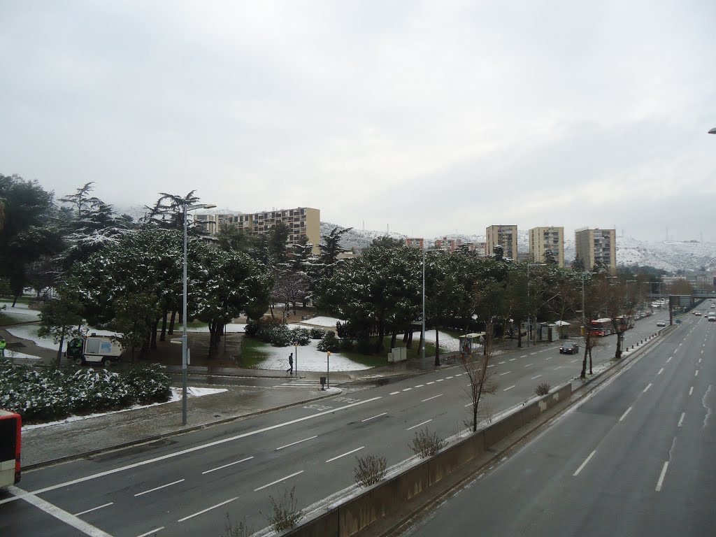 Nevando - Barcelona - España by Pedro Miguel Barriuso