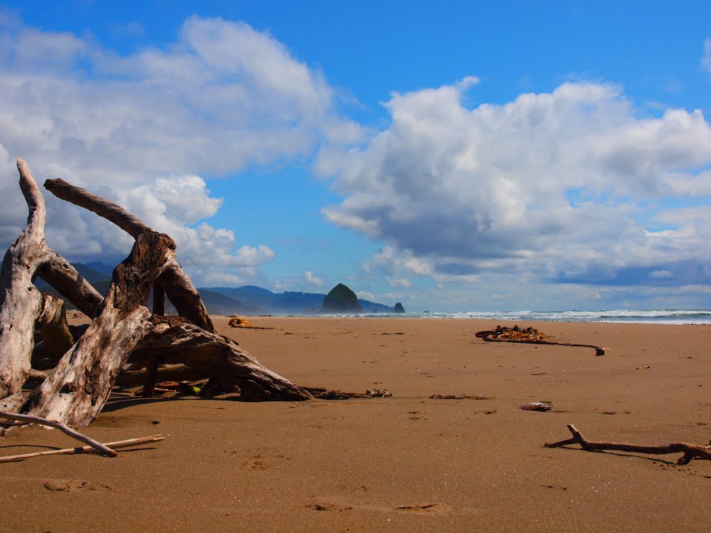 Cannon Beach by James W Moore