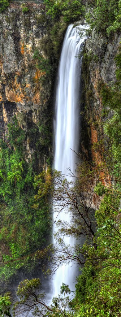 Bookmark from Purling Brook Falls by Rebecca Capel