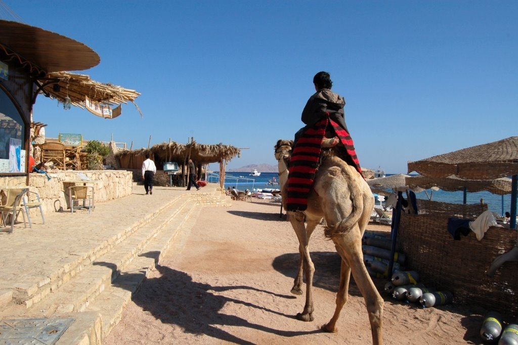 Sharks Bay w Sharm-el-Sheik. (01.2007) by Jacek Rudniewski