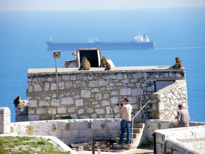 Gibraltar GX11 1AA, Gibraltar by lupo.sk