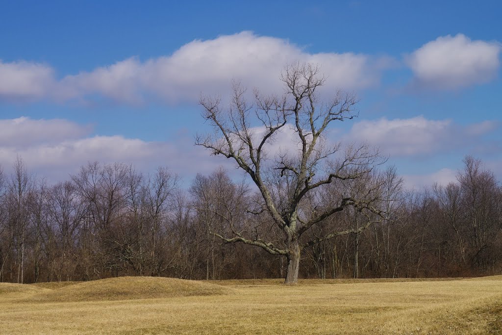 Hopewell Culture National Historic Park by Rumiana Koynova-Tenchova