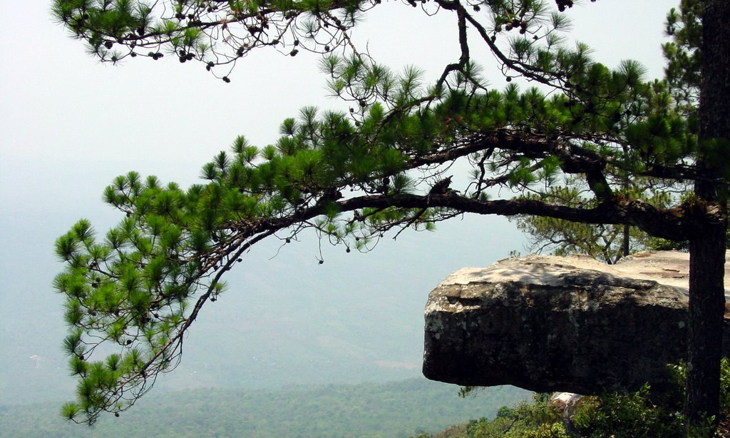 Lomsak Clif (Phukradueng National Park) by Boon C (boon)