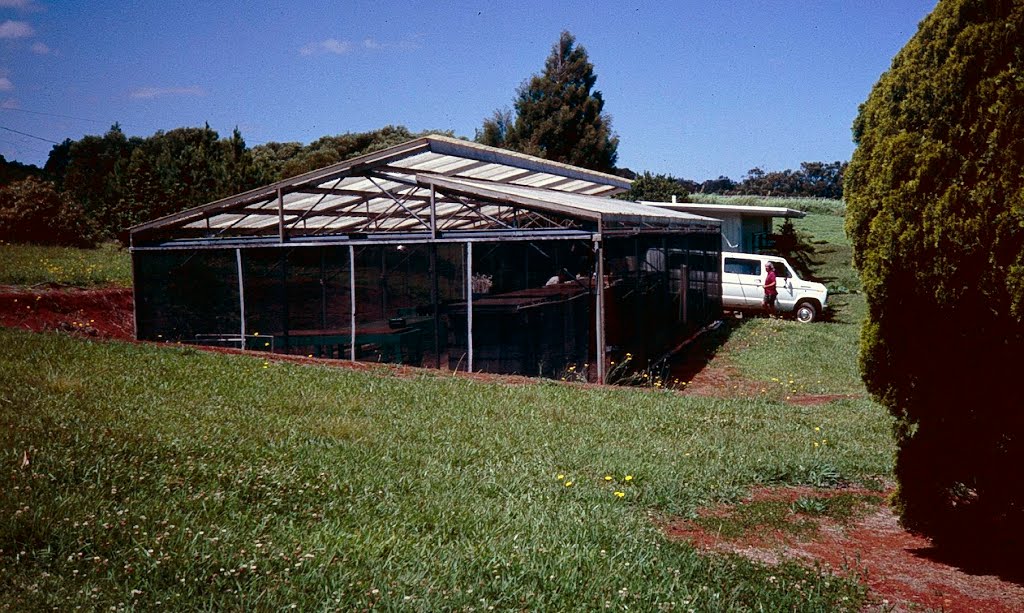 Greenhouses, NifTAL Project by Andreas Wolff